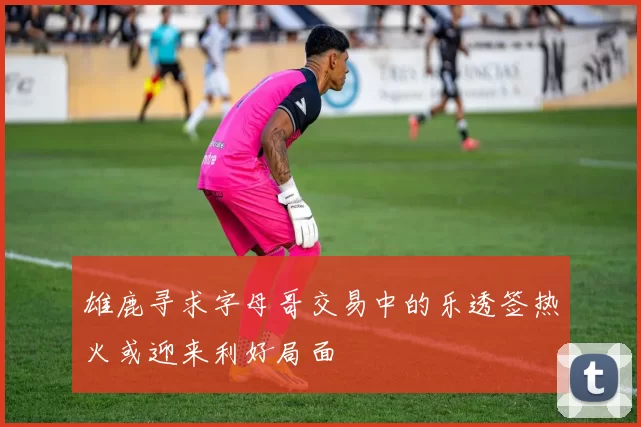 雄鹿寻求字母哥交易中的乐透签热火或迎来利好局面
